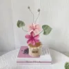 Rosa-2