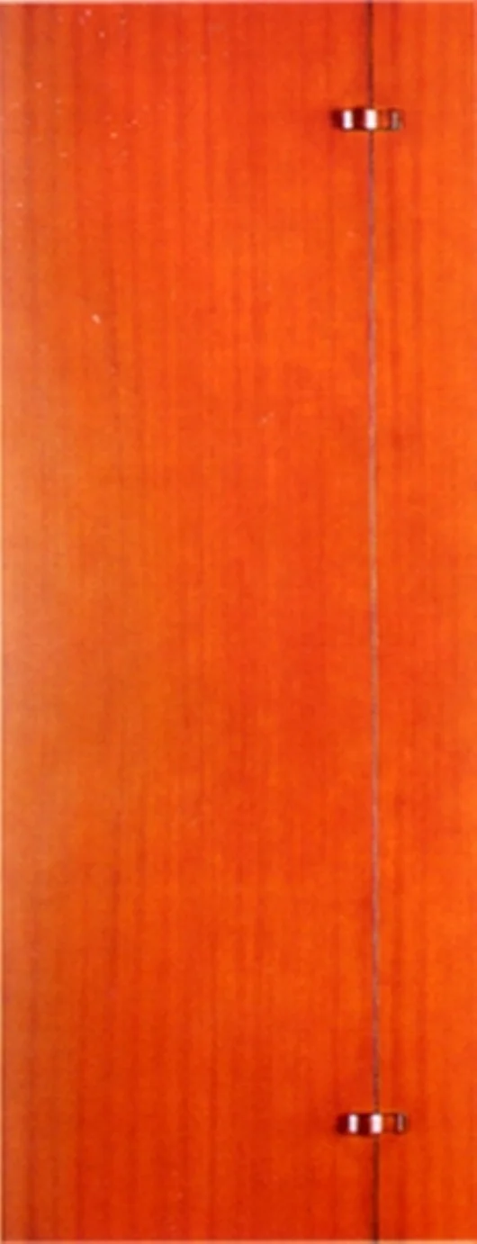 Cheap Varnish Finish Plywood Doors Price