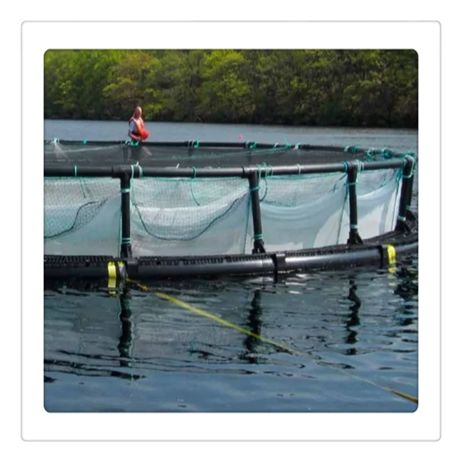 HDPE fish farming flottant cages for