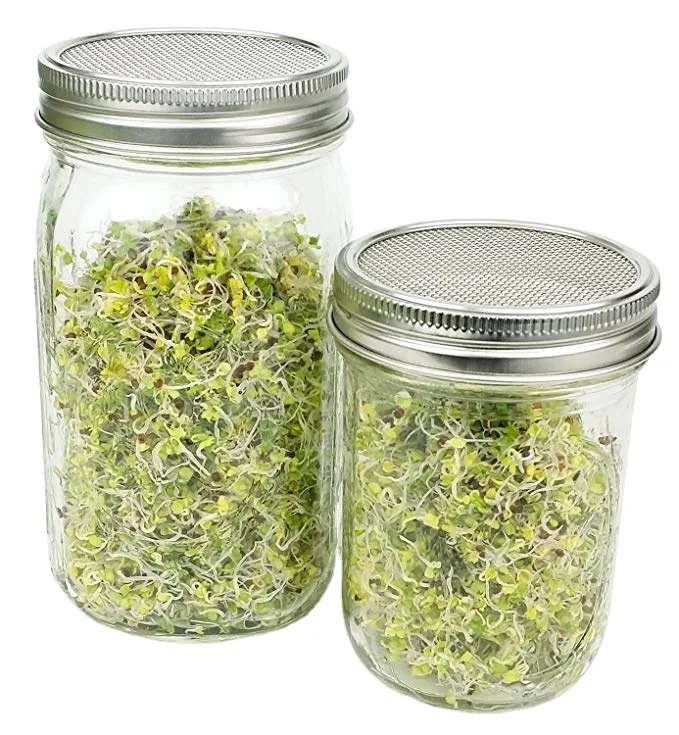 Lowest Price Stainless Steel Sprouting Lids With Mesh Lid Sprout Jar