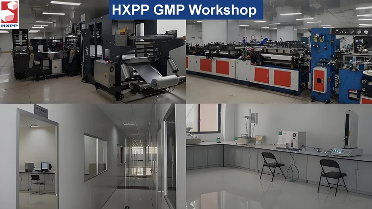 GMP.png