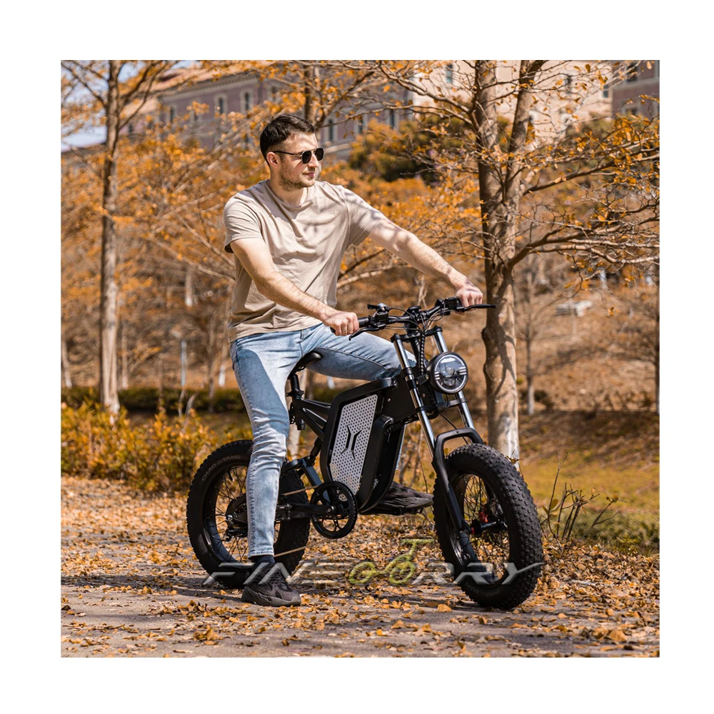 48v 500W 1000 W 1500W  5000W 55 km/h buy easy rider enduro electric bike with CE FCC Rohs EU and US warehouse