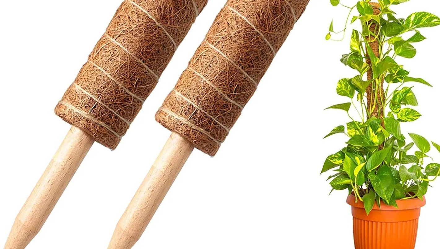 Natural Plant Support Stakes Totem Coconut Moss Poles Coco Stick