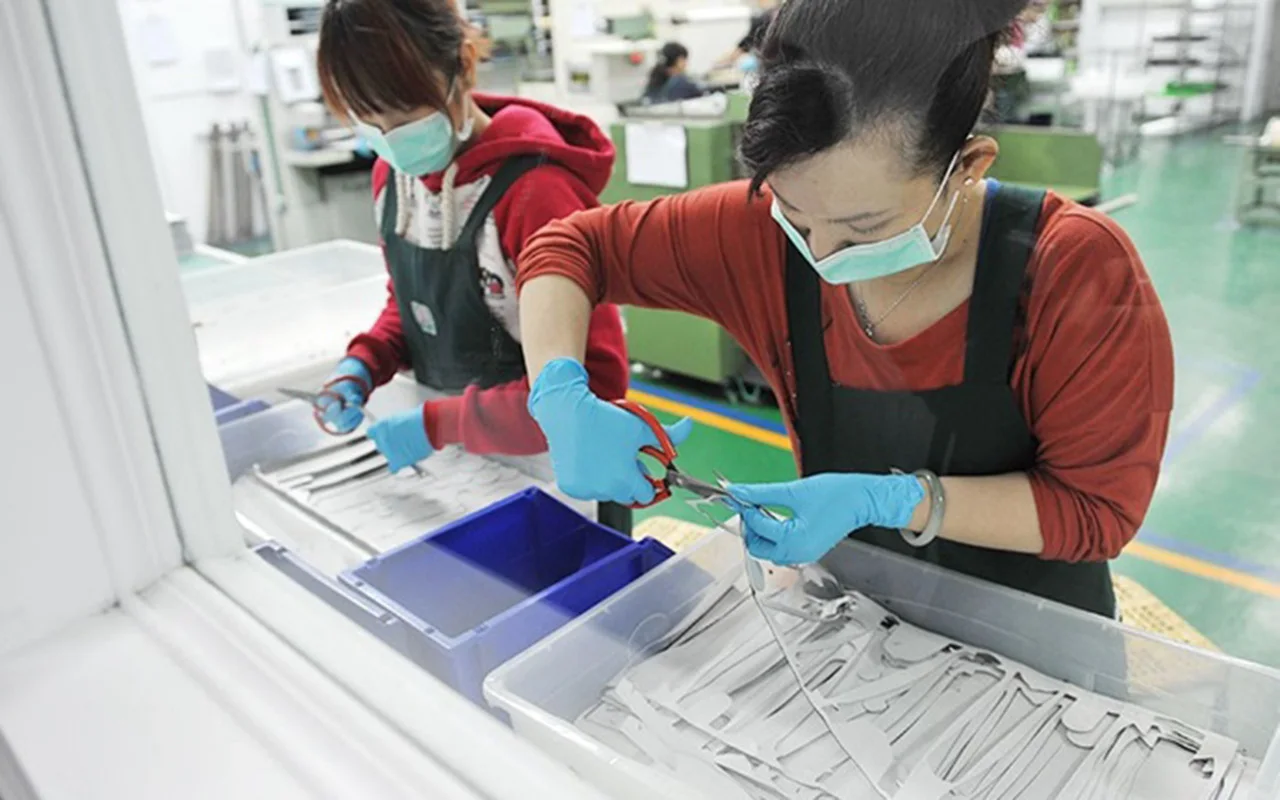 Qingdao Love Squirrel International Trade Co., Ltd. 2