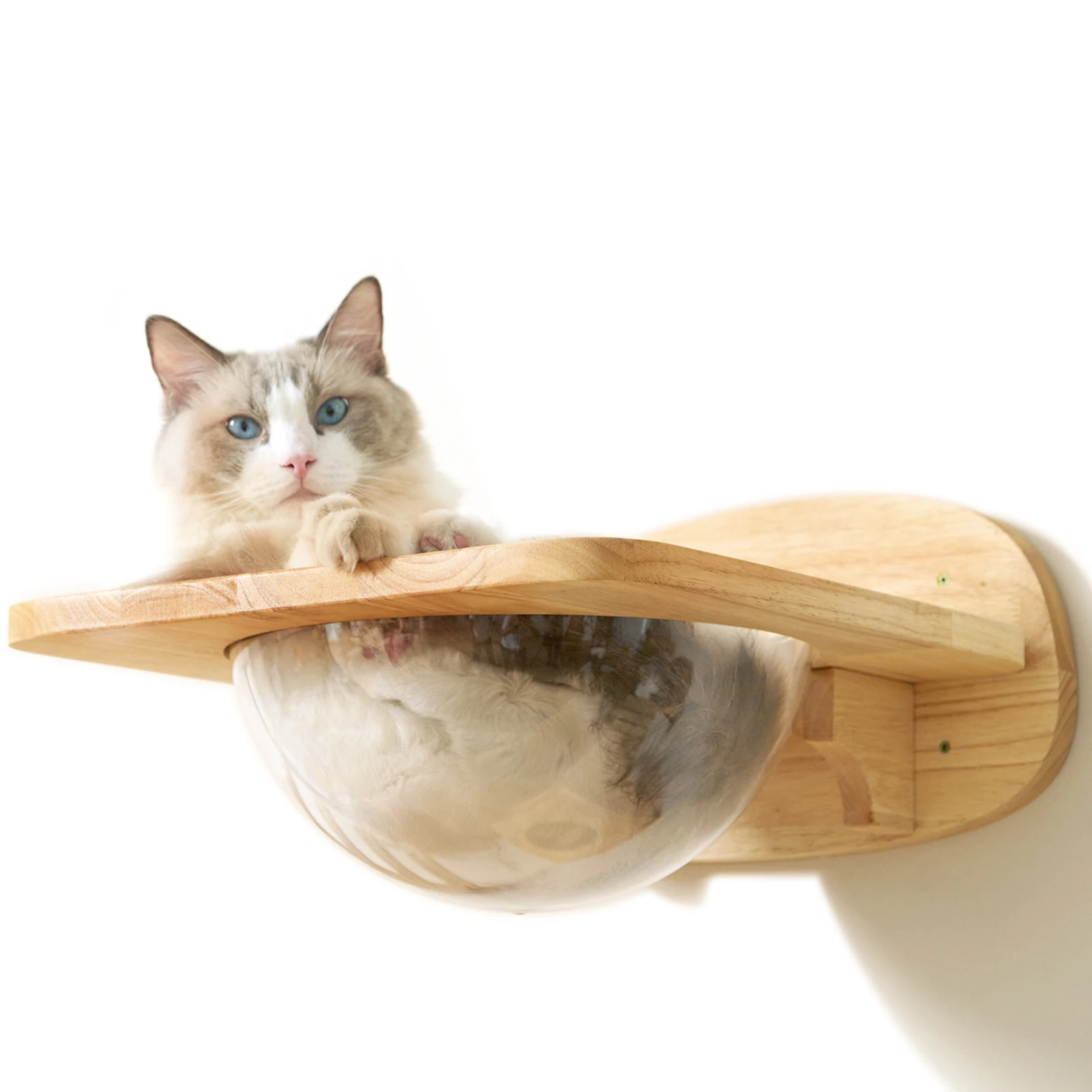 Fukumaru Cat Shelves Cat Wall Shelves Cat Wall Furniture Wall Pet Space