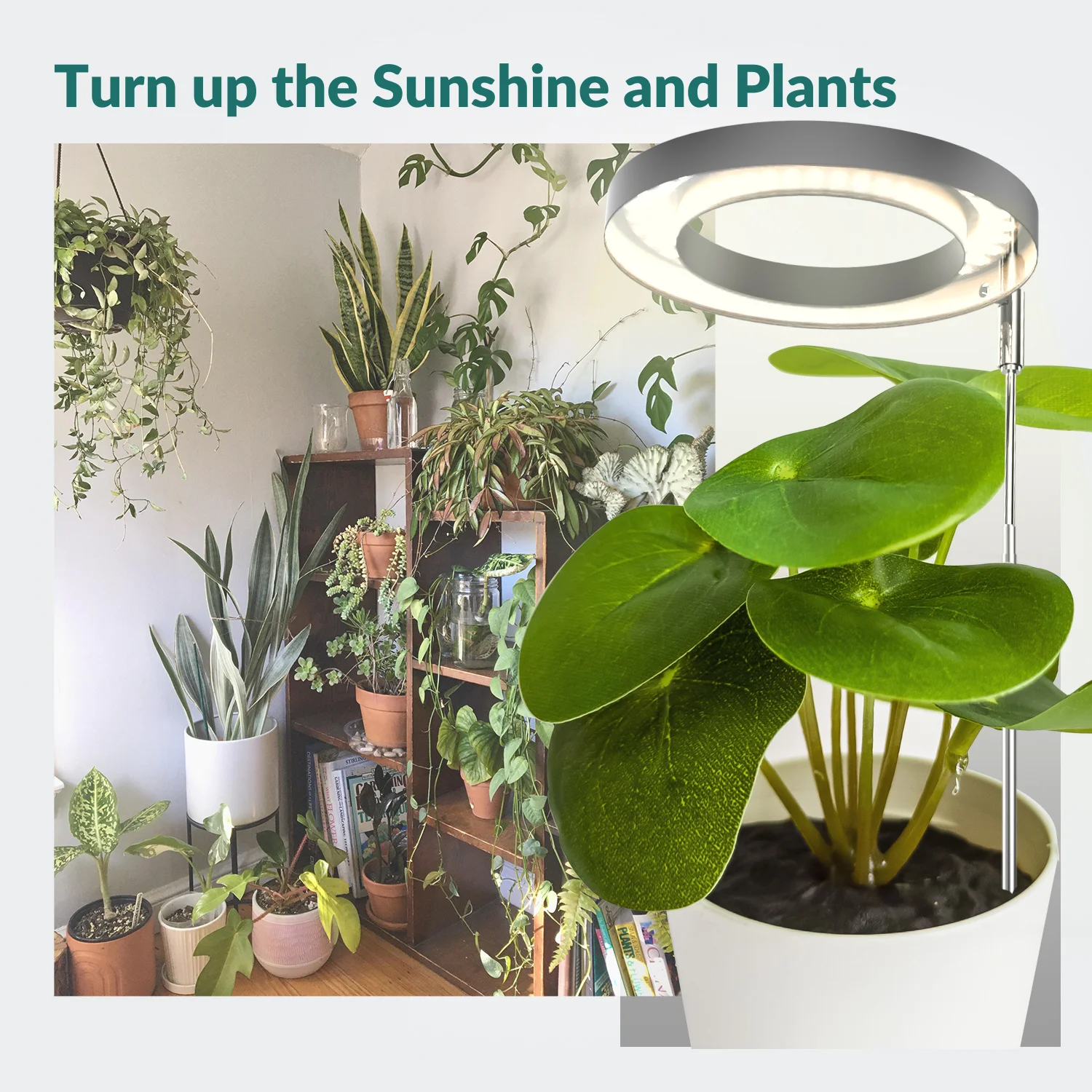 Светодиодный светильник для выращивания растений, приглушаемая Настольная лампа с таймером, для комнатных растений, с USB, 12 Вт