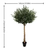 Army Green  XY2502-895 215CM