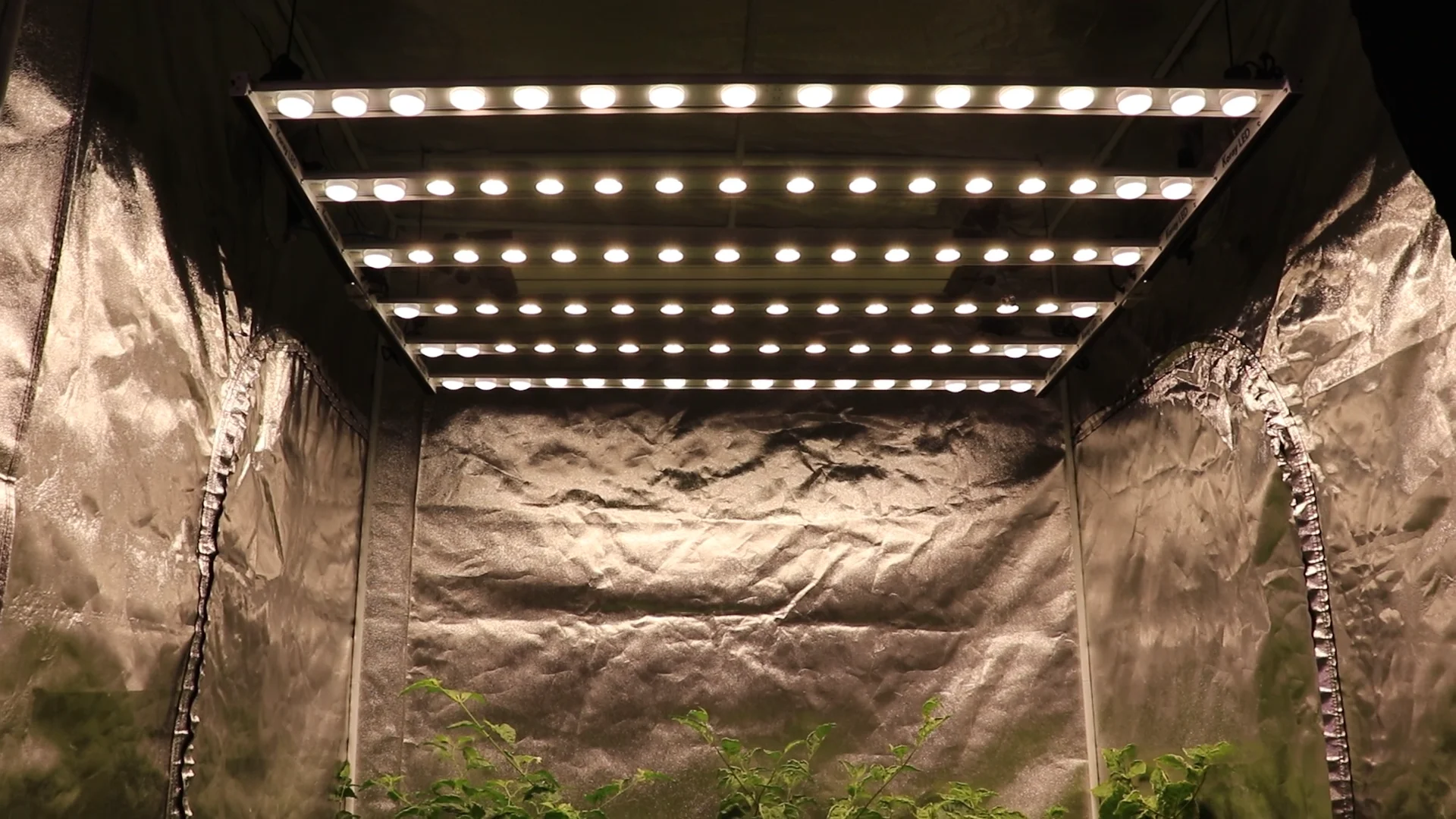 Koray G80 U Series High Uniformity Folding Led Plant Grow Light ...