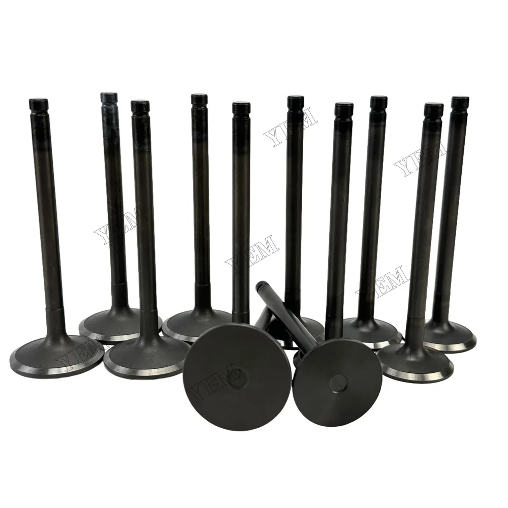 Exhaust Intake Valve Fit for Hino H07C Engine 6