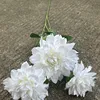 123 head french dahlia