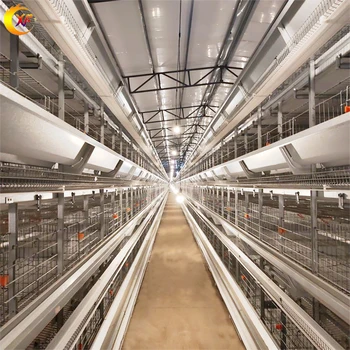 Automatic Collection Manure Poultry Farming Chicken Cages for sale