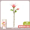 655075 magnolia