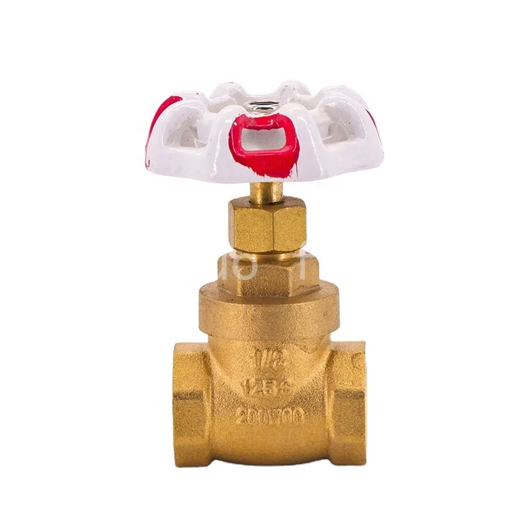 South africa standard  best sales chinese high quality brass gate valve pn16 for oil and gas compani