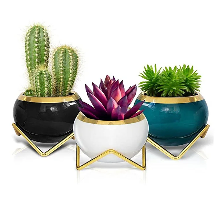 Wholesale Small Succulent Planter Pots Porcelain Ceramic With Gold Trims  and Stands Modern Decorative Planter Pots