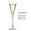 V shape glass large