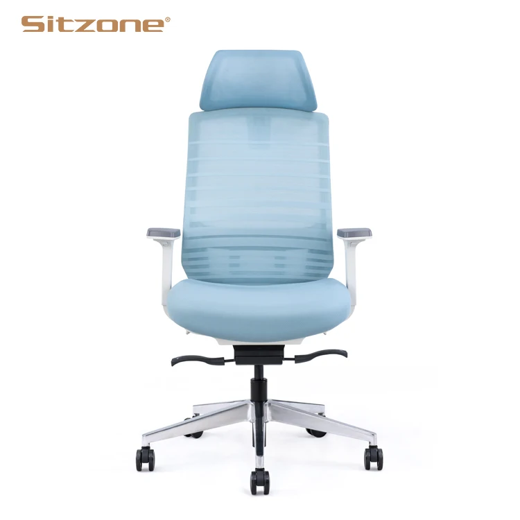 Free Sample High Back Blue Mesh Office Ergonomic Chair boss Office Computer Swivel Chair with Headrest