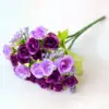 Viola