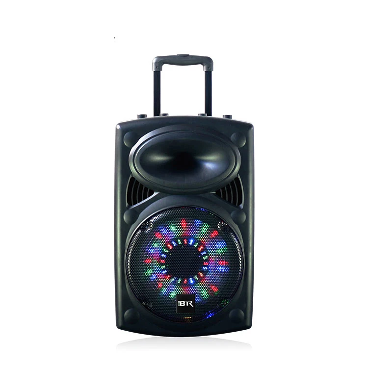 10 inch speaker 50 watt