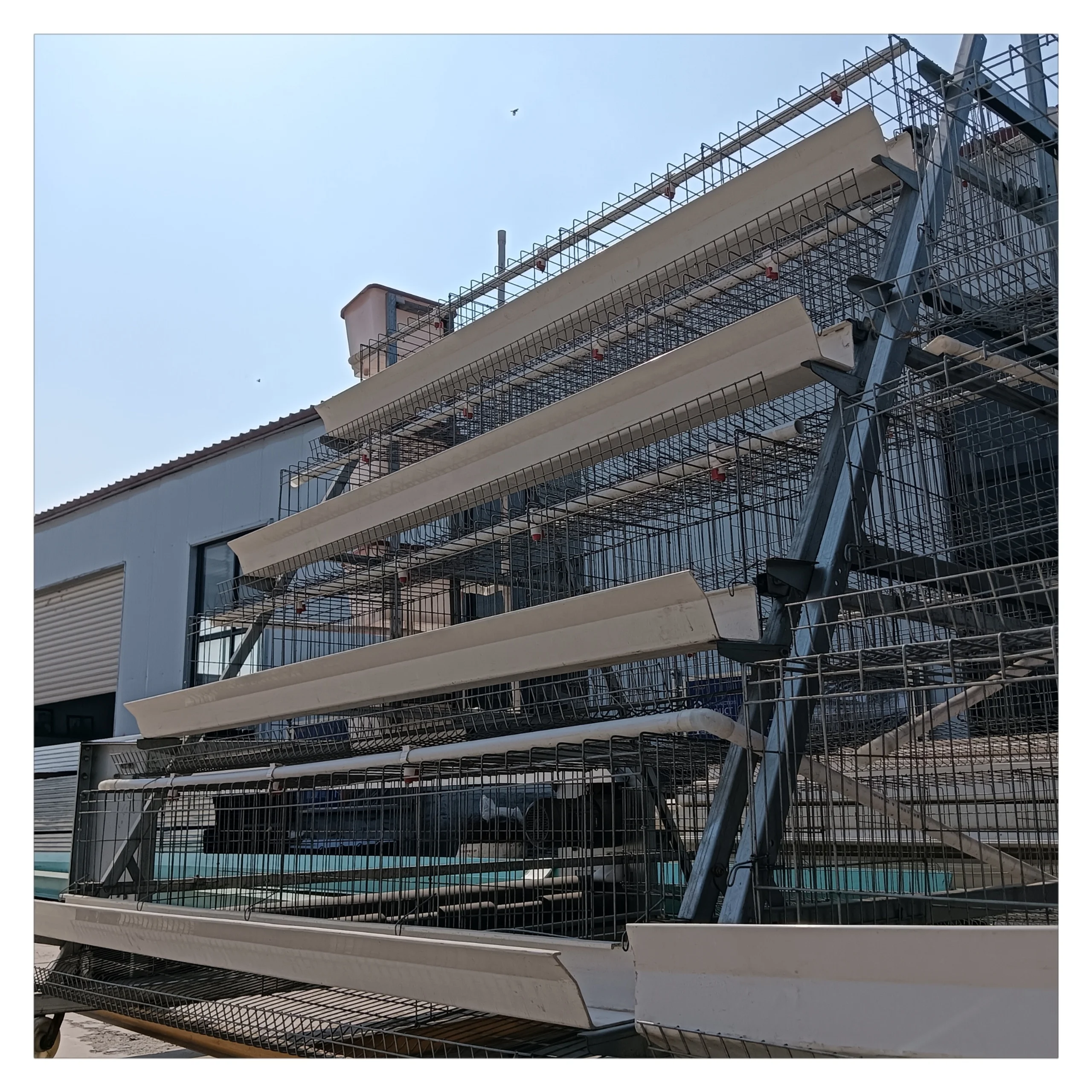Semi Automatization a Type Automatic Fully Baby Chicken Cage for Sudan Farms