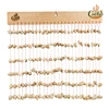 156 conchas