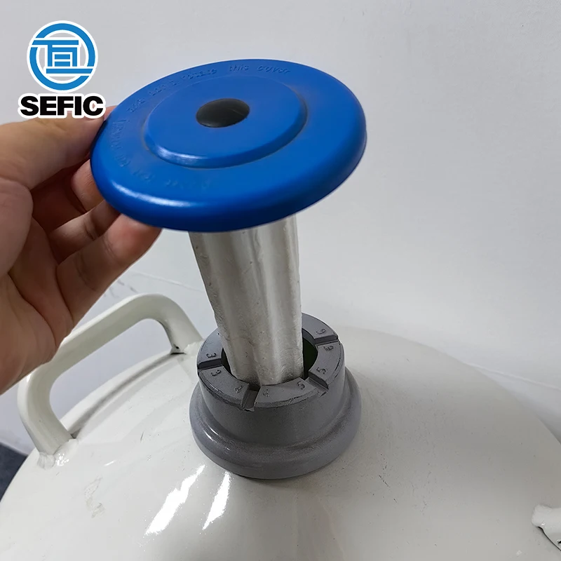 SEFIC 10L/20L/30L/50L YDS Type Cryogenic Nitrogen Container Liquid Nitrogen Storage Tank