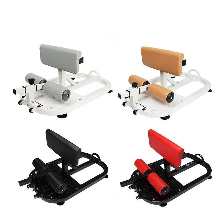 Wellshow Sport Home Gym Adjustable Deep Sissy Squat Machine Sit up Stand Bench for Squat Leg and Glutes Workout