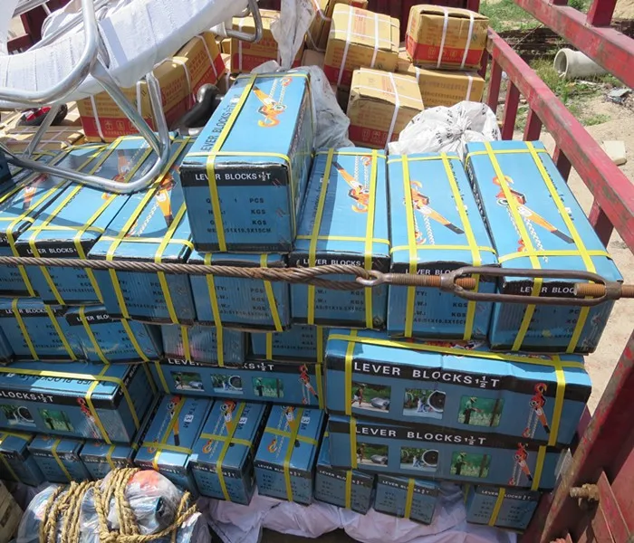 6 ton chain block