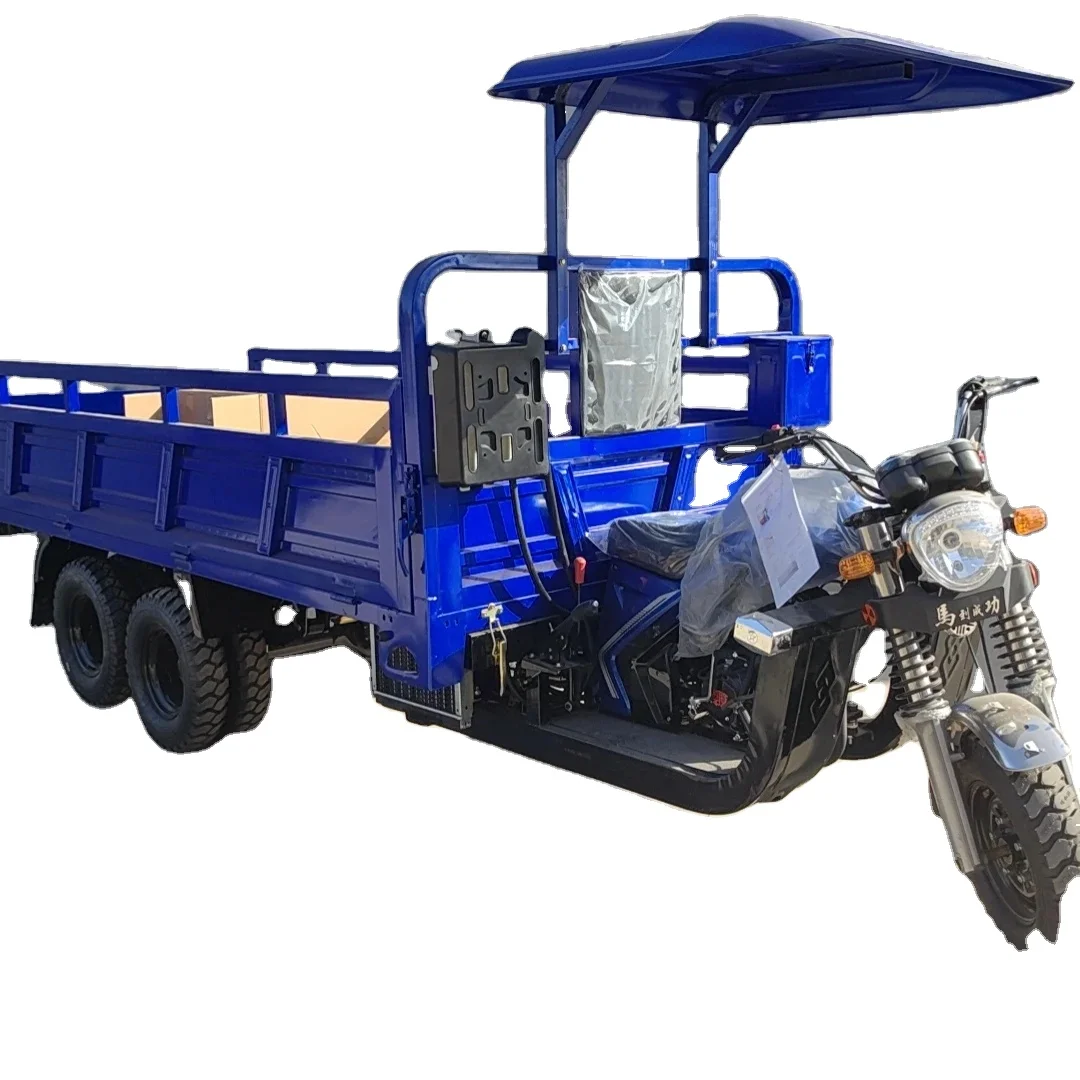 Gasoline Tricycle With 300cc/350cc Engine Strong Bearing Cargo Tricycle ...