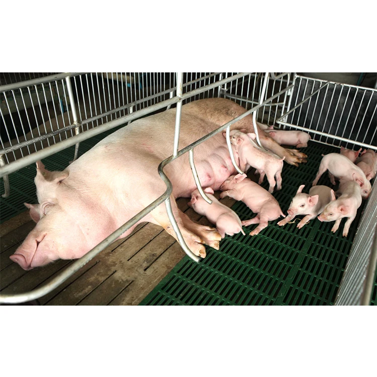 Sustar Premix Trace Elements for Sows Animal Trace Minerals Feed Additives Manufacturer Supply Amino Acid Powder