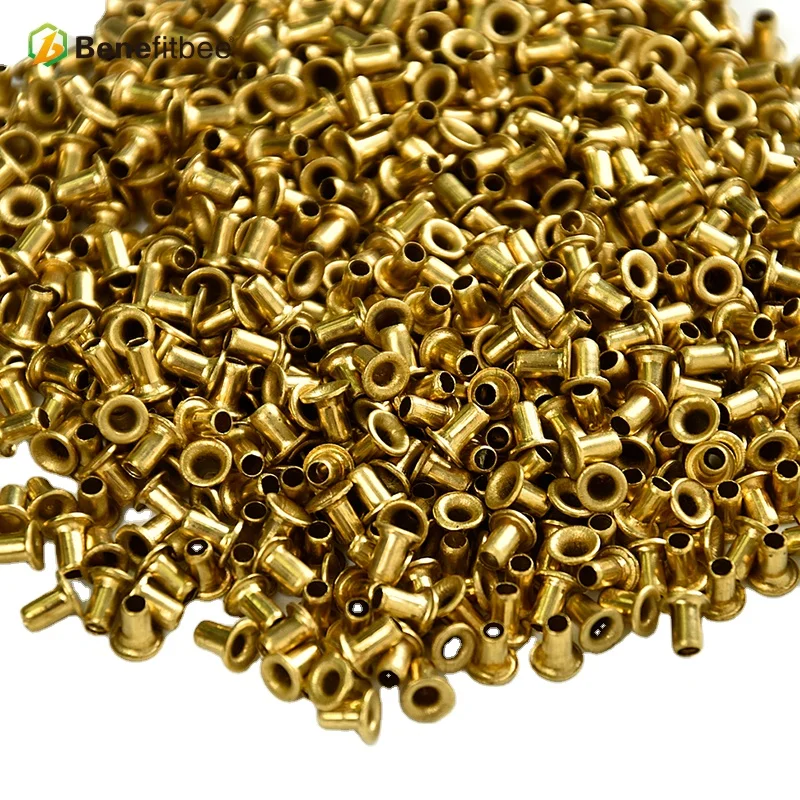 Bee Frame Eyelets, Durable Beehive Eyelet Nest Box Frame End Threading Hole Eyelets Bee Hive Beehive Brass Nest Frame Eyelets Beekeepers Beekeep - View #9