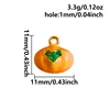 S2970 - Calabaza