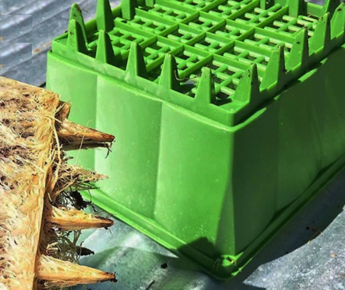 Гидропонные зеленые пластиковые горшки для выращивания растений, горшки для выращивания кастрюль из кастрюли, горшки для выращивания растений в теплицах/комнатах для выращивания