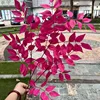 3 fork lingxiao leaves rose red