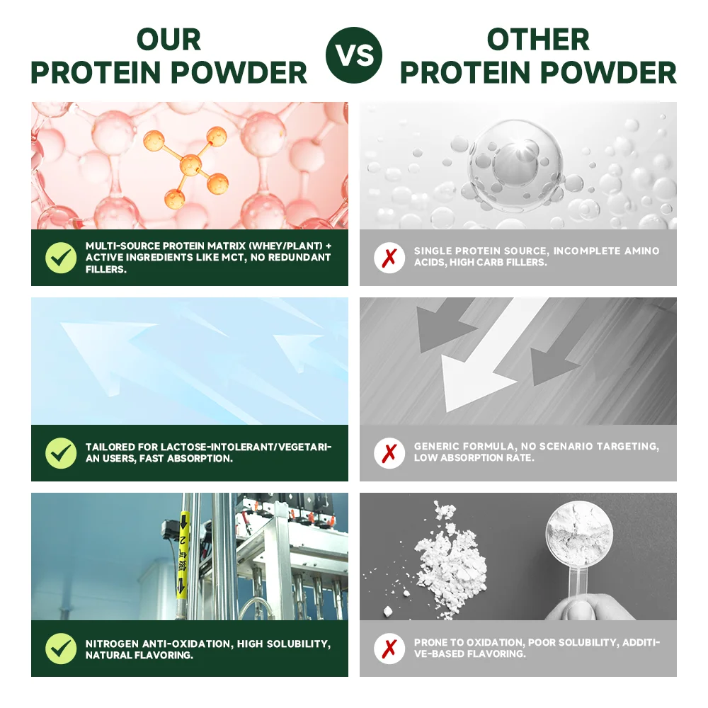 2025 TBG Oem Plant-Based Protein Powder Coconut Flavor 907g Barrel Packaging Vegan Fitness Supplement Bulk Non-GMO Gluten-Free