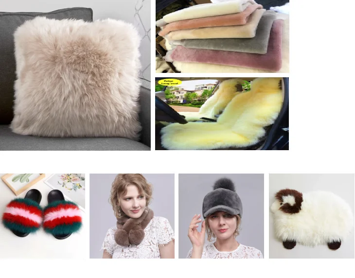 dog bed