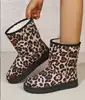 leopardo-1