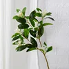5 grandes fleurs blanches fourchues