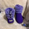 6 viola