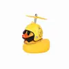 Canard