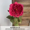 Lychee Rose Pink