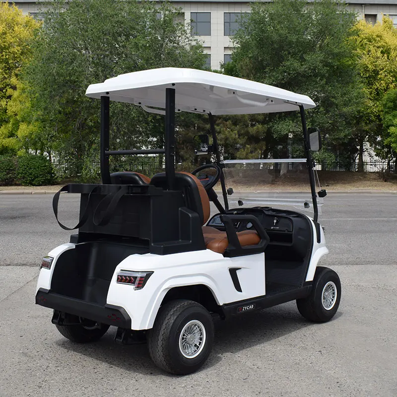 2024 Latest Design Mini Electric Golf Cart Custom 2 Seater Lithium Battery Golf Car