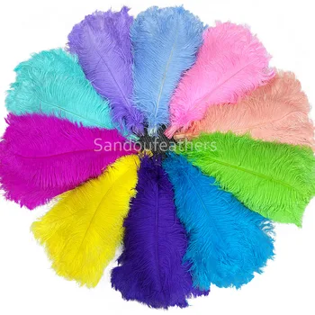 High Quality Ostrich Feathers 60 cm Carnival Costume Decorate 15-80 cm Dyed Ostrich Feathers for Wedding Decoration