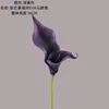 Deep purple