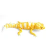 มีสีสัน