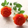Arancione
