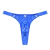 Azul oscuro_seda hielo