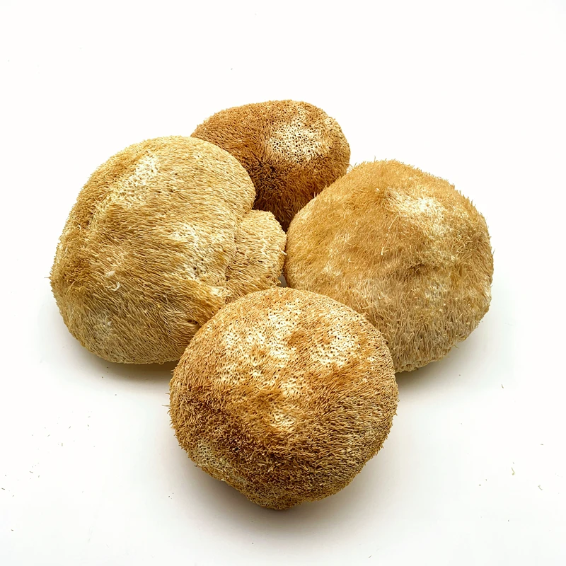 10 mushroom mix , Instant Mushroom Powder 30% Beta D Glucan