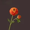 Naranja oscuro