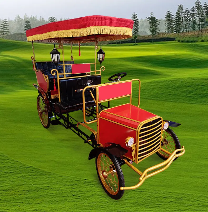 Alibaba.com: 3-6 passenger pedicab rickshaw with canopy and safety belt ...