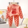 Set autunnale C06: abbigliamento e pantaloni con motivo anguria e coniglio